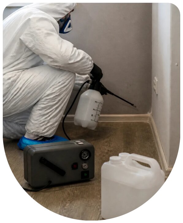 Устранение стойкого запаха мочи в Елизове профессионально